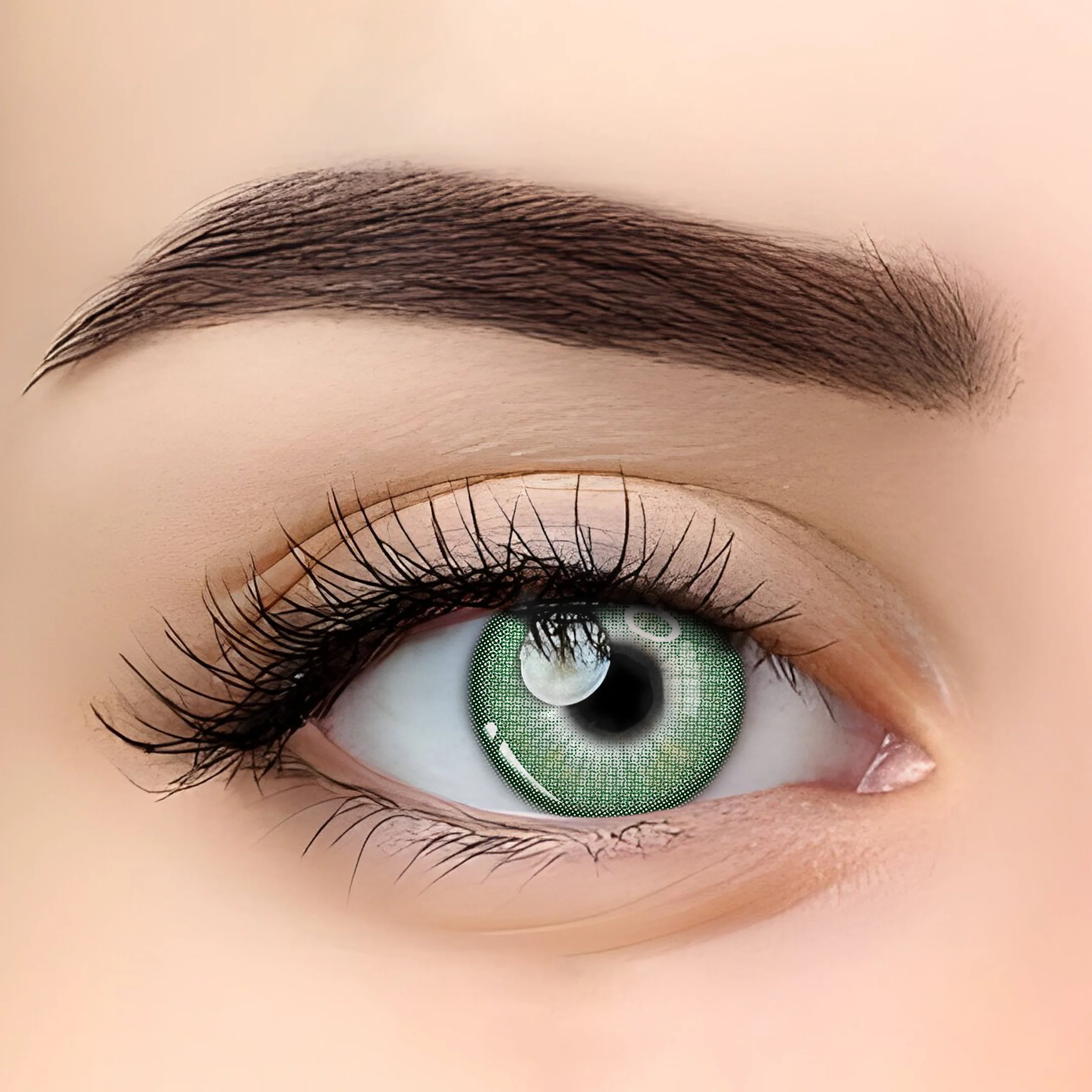 Contact Lenses